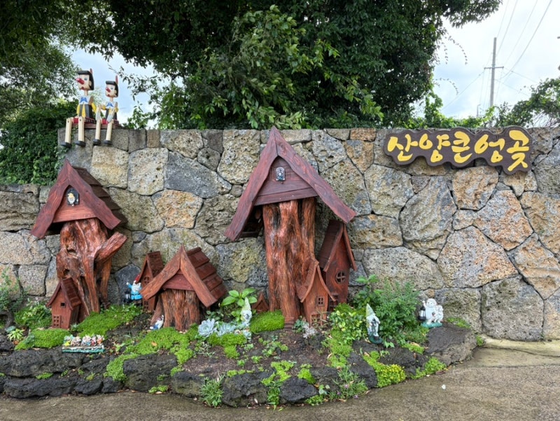 사진 6