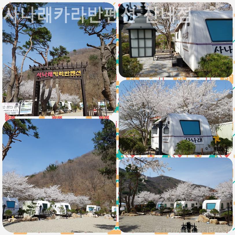 사나래카라반펜션 산내점 사진 1