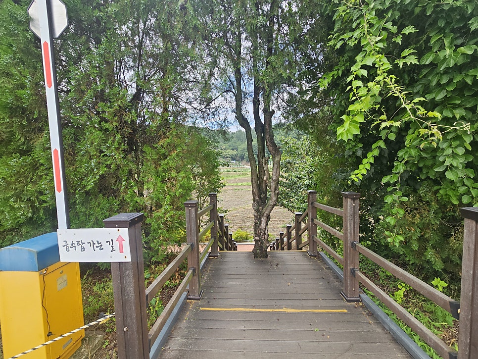 더메모리 사진 3