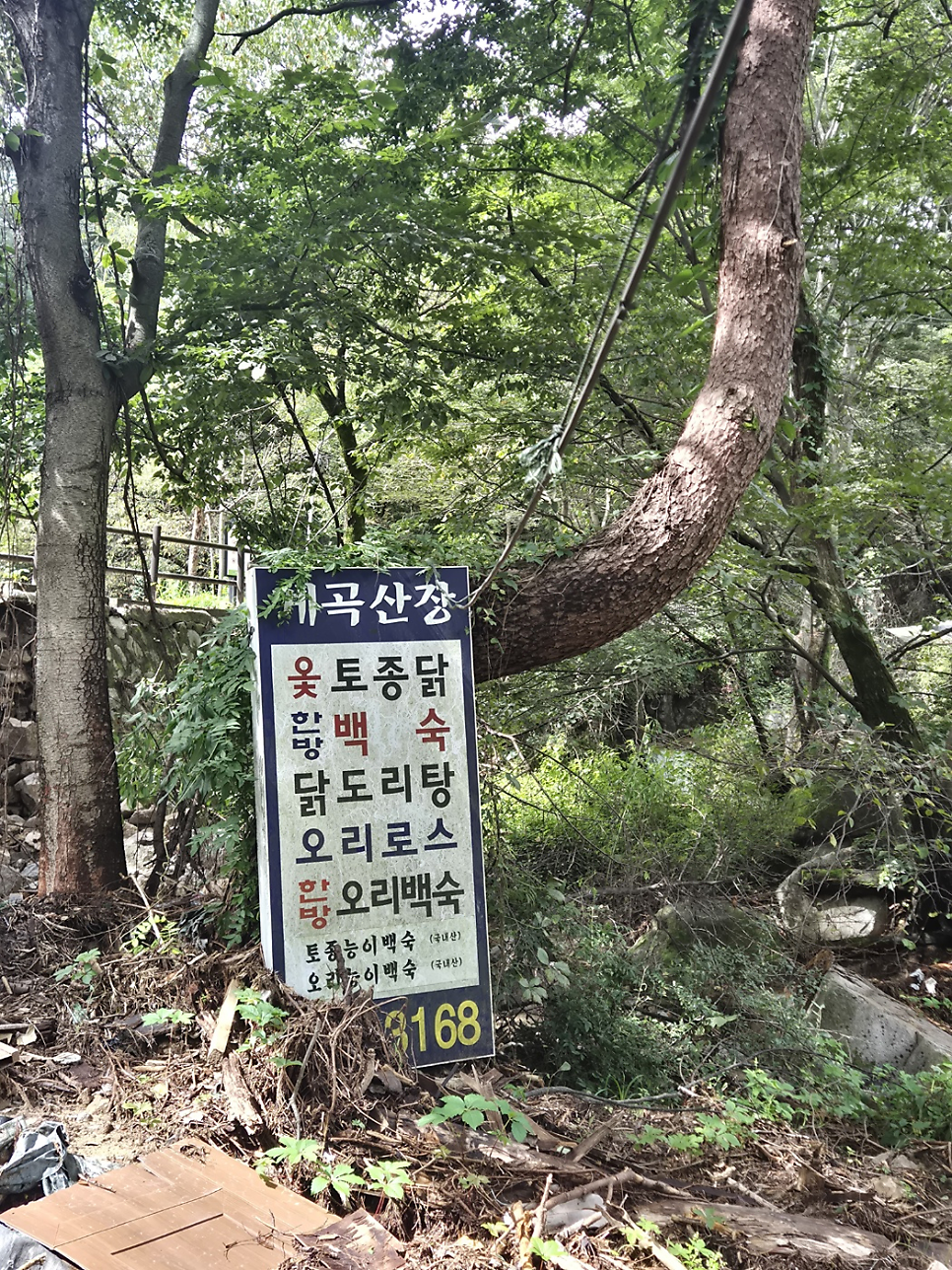계곡산장 사진 4