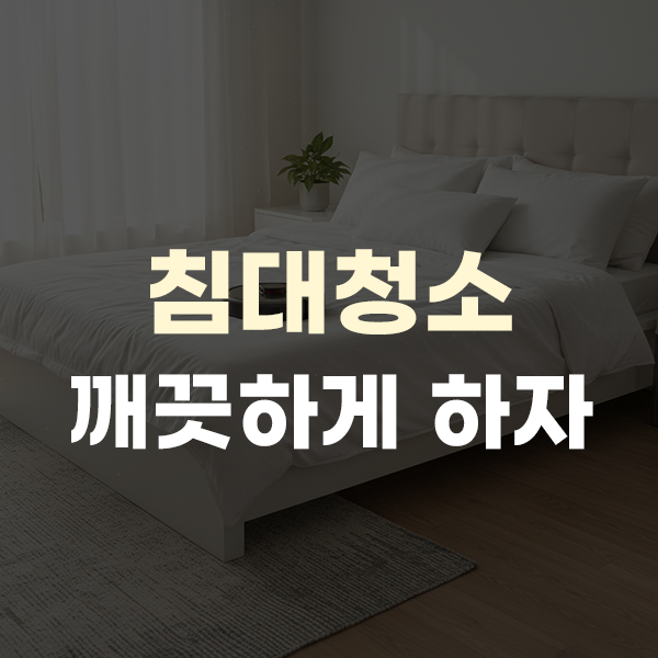 침대청소 밑, 진드기, 오줌 깨끗하게 매트리스 관리하자