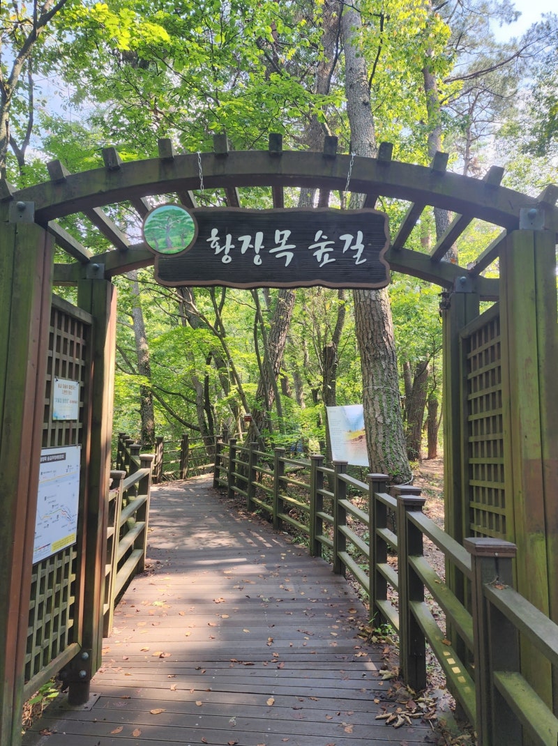 사진 3