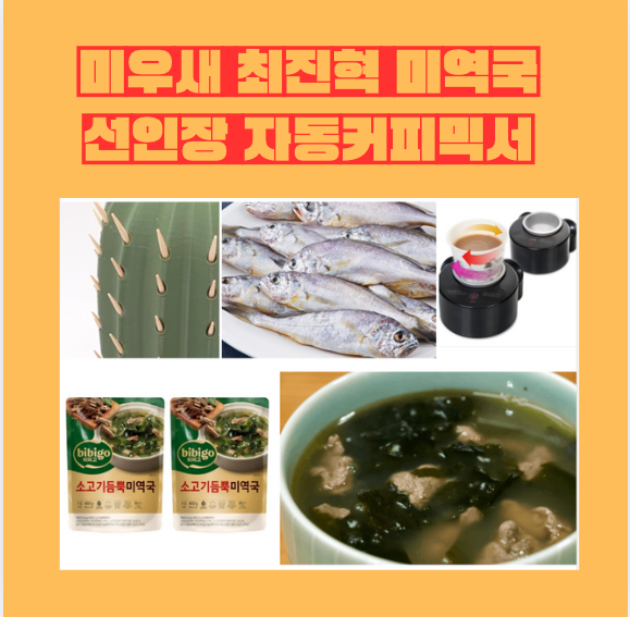 미우새 최진혁 미역국 굴비 자동 커피믹스 믹서 섞는 기계 선인장 이쑤시개 엄마 초절약 생....