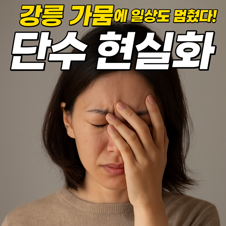 <b>강릉</b> 단수 현실화! 사상 최악 <b>가뭄</b>에 멈춰버린 일상