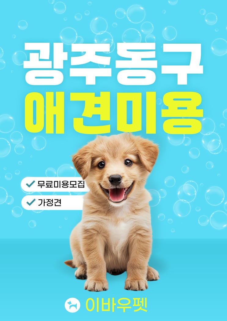  광주동구애견미용, 이바우펫애견미용학원에서 무료미용모집 서두르세요