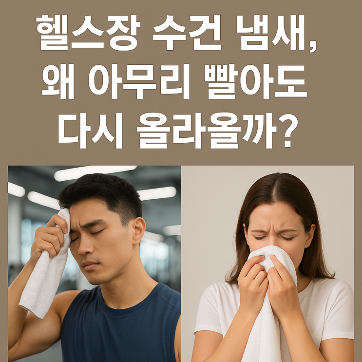  헬스장 수건 냄새, 왜 아무리 빨아도 다시 올라올까?