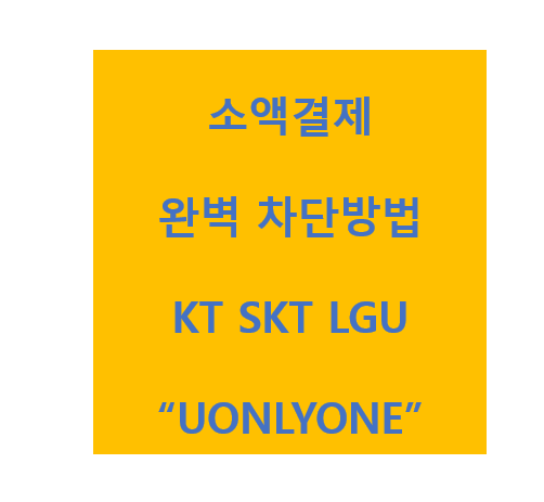  휴대폰 소액결제 차단 피싱 사기 방지 방법 KT SKT LGU
