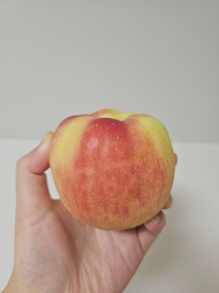  안동홍로사과 과채아빠 배송 후기! 안동사과의 신선함 그대로