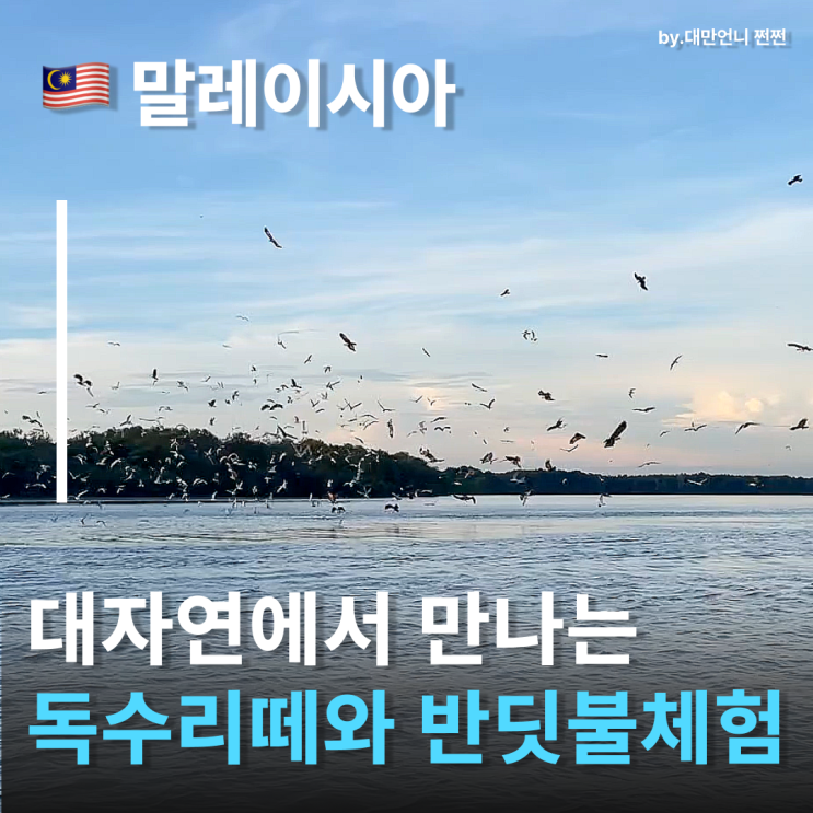  쿠알라룸푸르여행일정 추천 독수리 먹이주기 반딧불투어 완벽 가이드 한국인은 잘 모르는 쿠알라룸푸르 여행코스