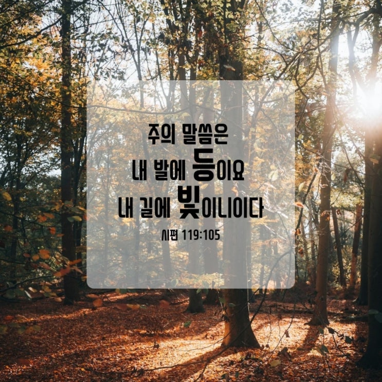  시편 119편 105절/넘어지지 않으려면 말씀을 붙드세요!