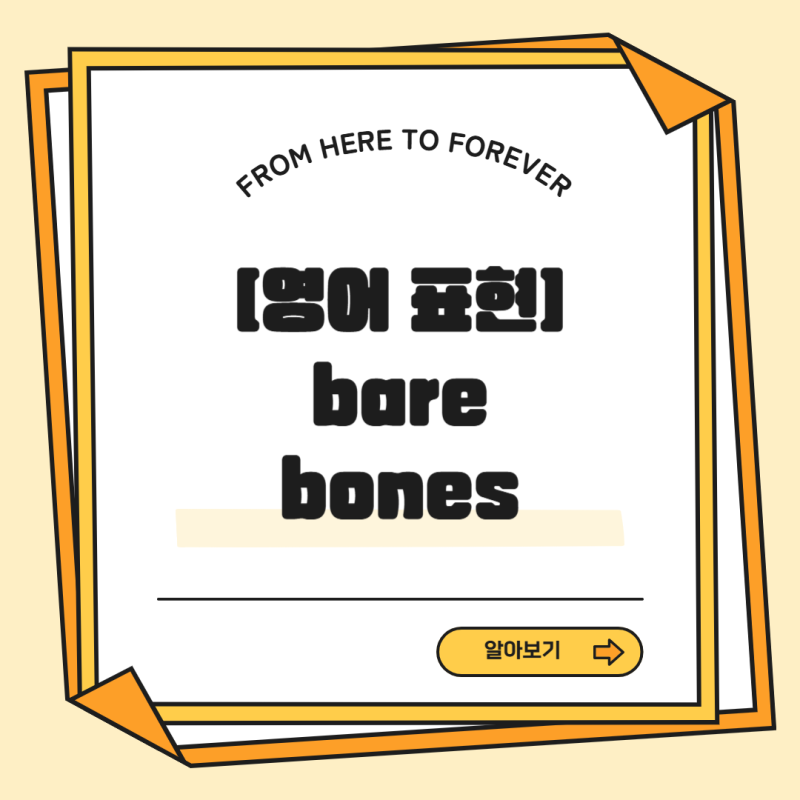 [원어민처럼 말하기] 영어 숙어 "Bare Bones" 의미, 유래, 예문과 비슷한 표현, 사용법까지