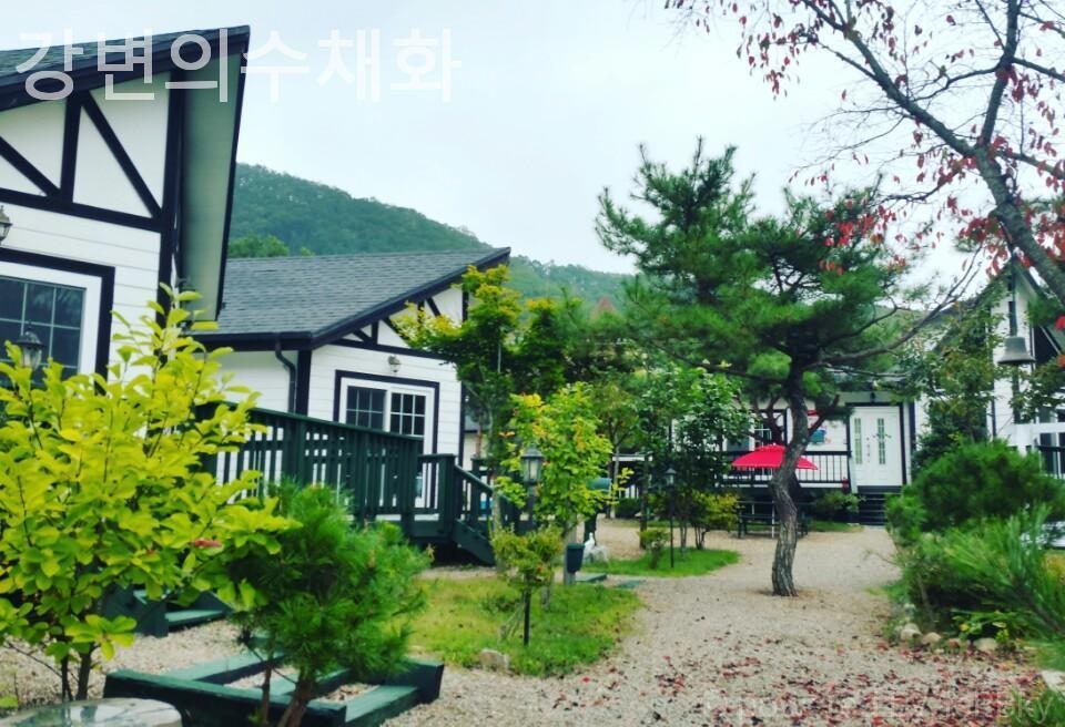 강변의수채화 사진 1