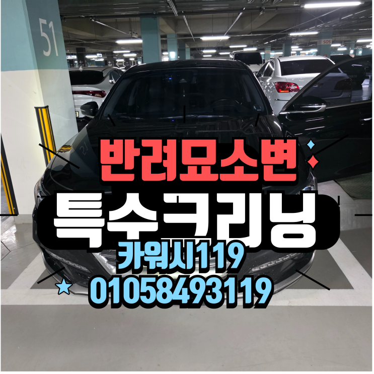  부천출장세차 자동차 운전석 통풍시트 고양이 반려묘 소변 오줌 특수크리닝