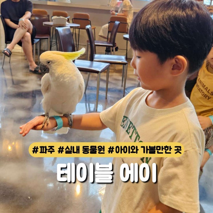  아이와 함께 가기 딱 좋은 실내 동물원 카페, 파주 테이블 A