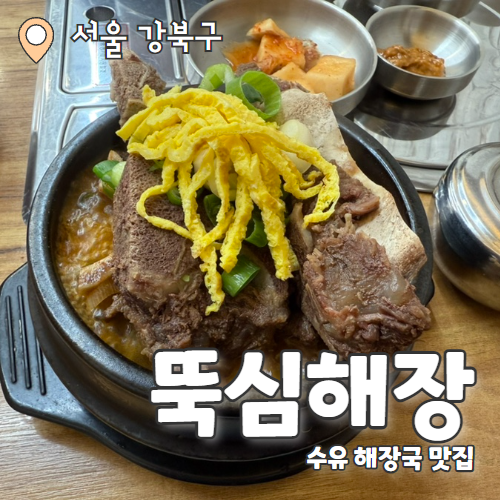  뚝심해장 : 고기가 한가득 올라간 419 해장국맛집 내돈내산 후기