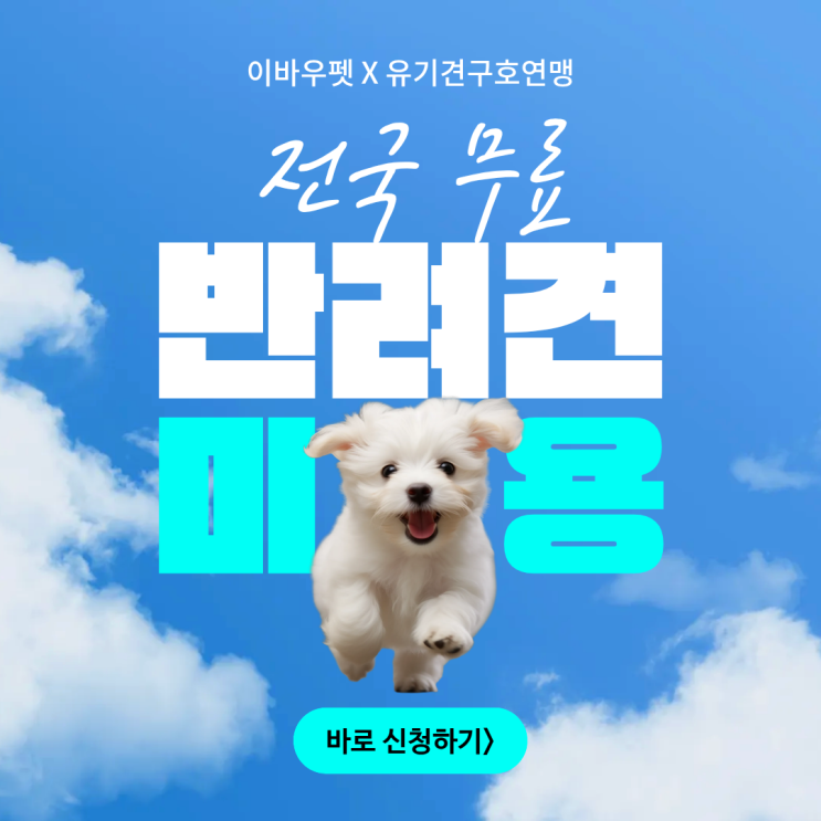  광주남구애견미용 전액지원 스파까지!