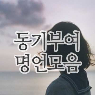  남과 비교하지 않는 삶을 위한, 동기부여 명언 모음