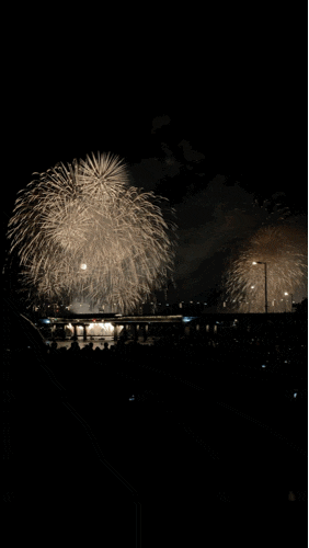  2025 한화 세계불꽃축제 늦게 가도 잘 보이는 명당 자리 정보