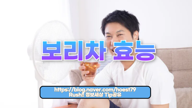  보리차 효능: 우리의 건강을 지켜주는 일상 속 보물