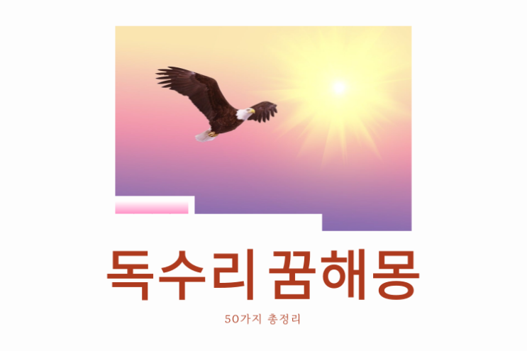  독수리 꿈해몽