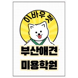  부산애견미용학원, 전문가 양성을 위한 이바우펫의 체계적 교육