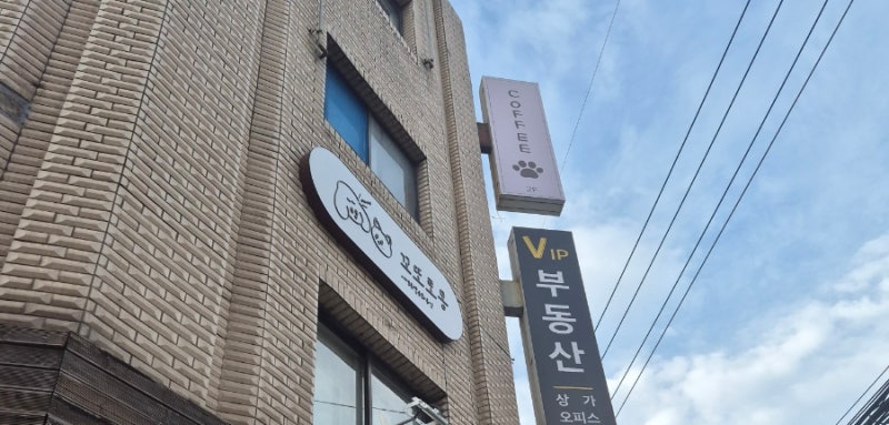 꼬또로몽