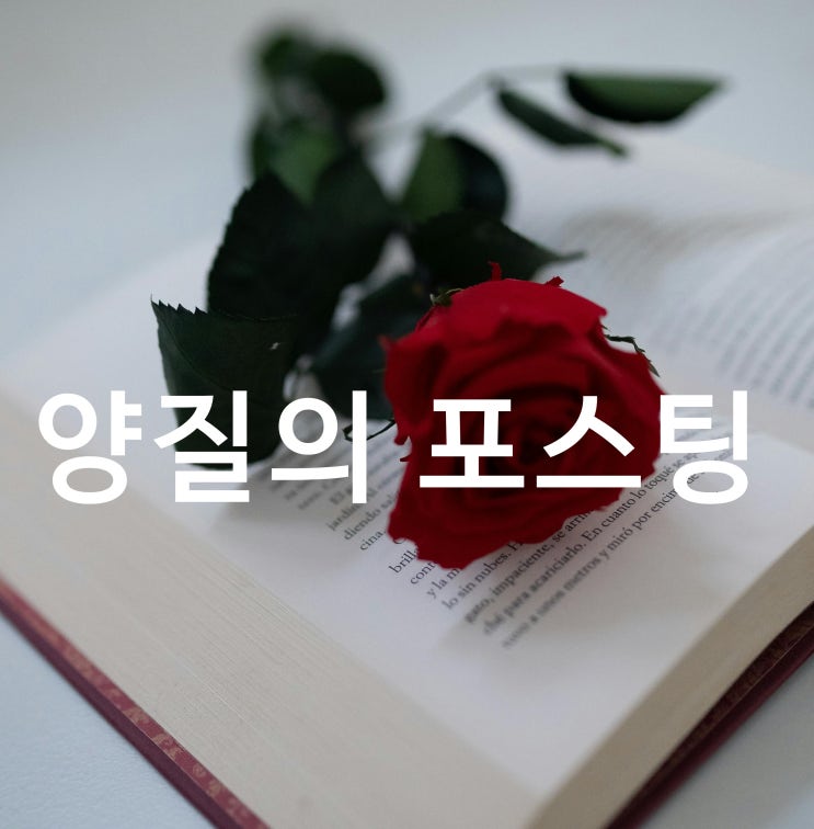  양질의 포스팅과 누락에 대해ㅣ창작의 자유를 허락하지 않는 네이버