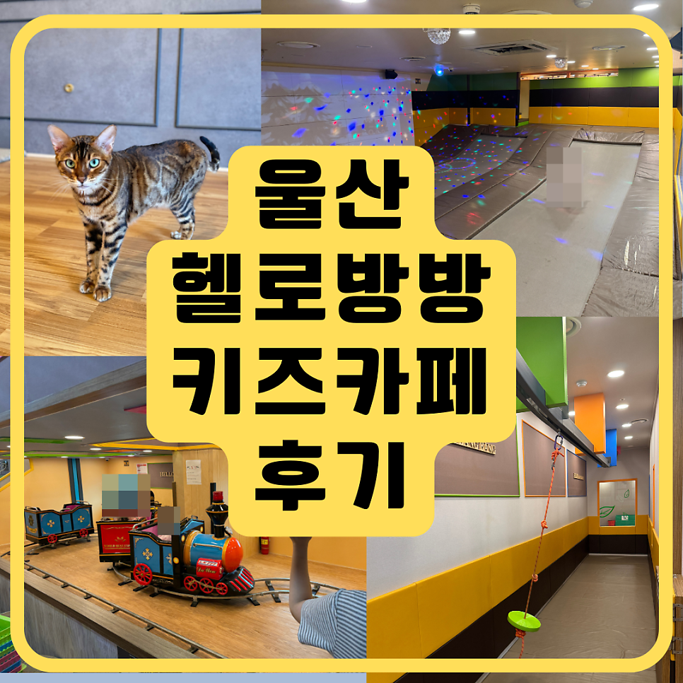 헬로방방 키즈카페 뉴코아울산점 사진 1