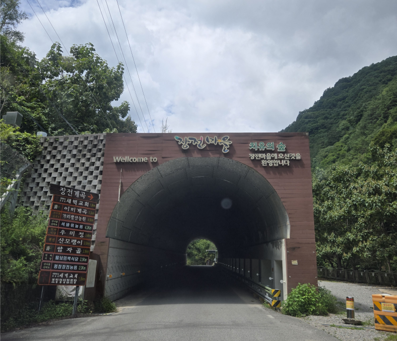 사진 3