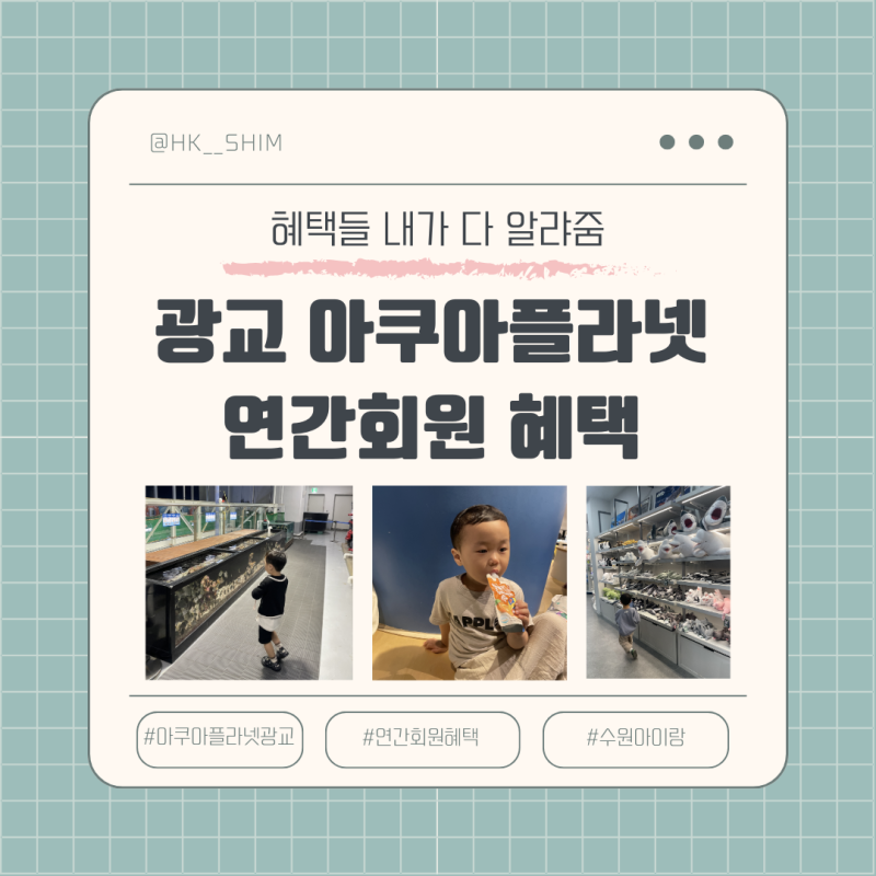 수원 광교 아쿠아플라넷 연간회원, 숨은 혜택까지 다 쓰기