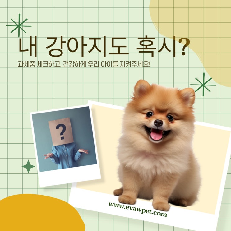  [2편] 강아지평균몸무게, 견종별 체중 기준과 건강 관리법