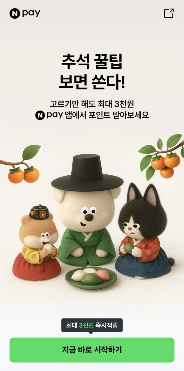  [정보] 네이버페이 추석 꿀팁 이벤트 최대 3천원 응모, 윷놀이