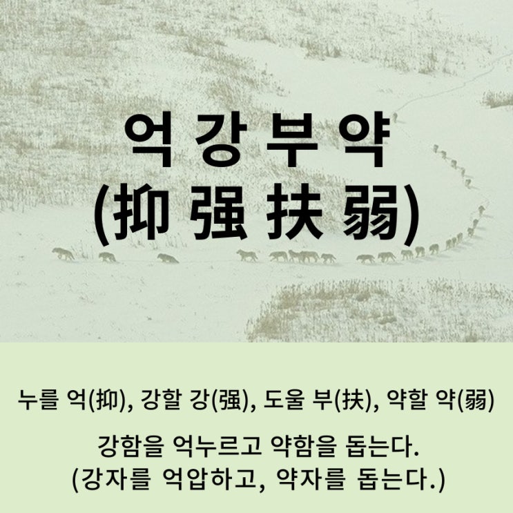  고사성어 뒤집어 보기 (87. 억강부약)
