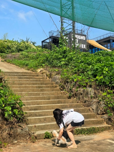 사진 2