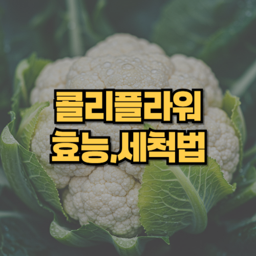 콜리플라워효능 세척방법 부작용 영양성분 모두 정리