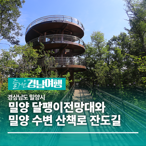 사진 5