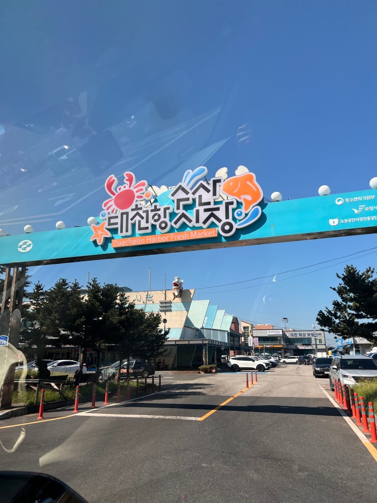  대천항 수산시장 방문기, 가족여행에서 즐긴 회 포장 후기