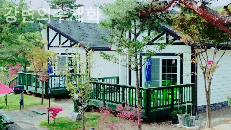 강변의수채화 사진 2