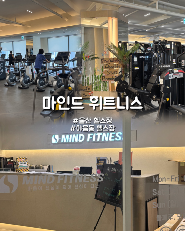  울산 야음동헬스장 쾌적함이 장점 마인드휘트니스 야음점