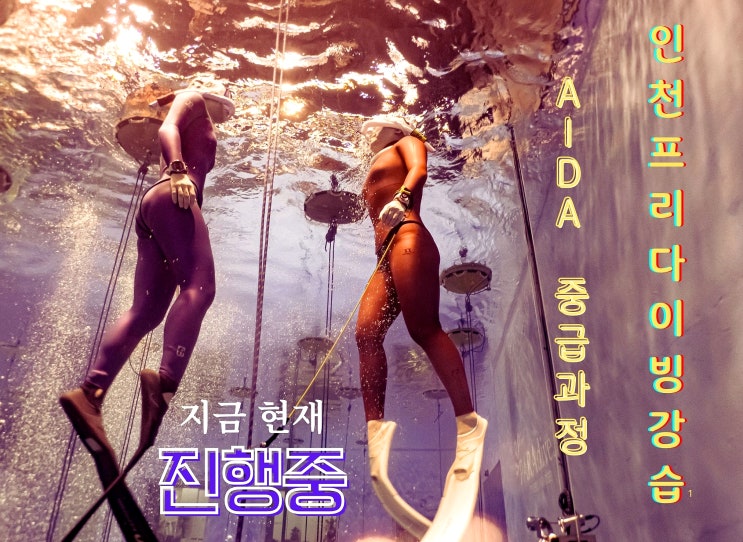  송도스포츠파크 AIDA 중급 프리다이빙강습중 (자격증반)