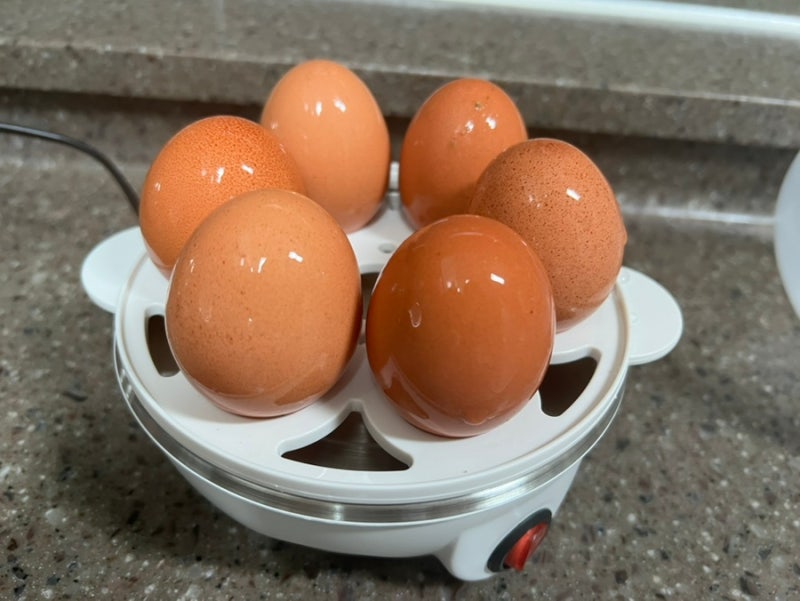 테무 구입 계란 달걀 찜기 반숙 완숙 자세한 사용 방법 및 후기