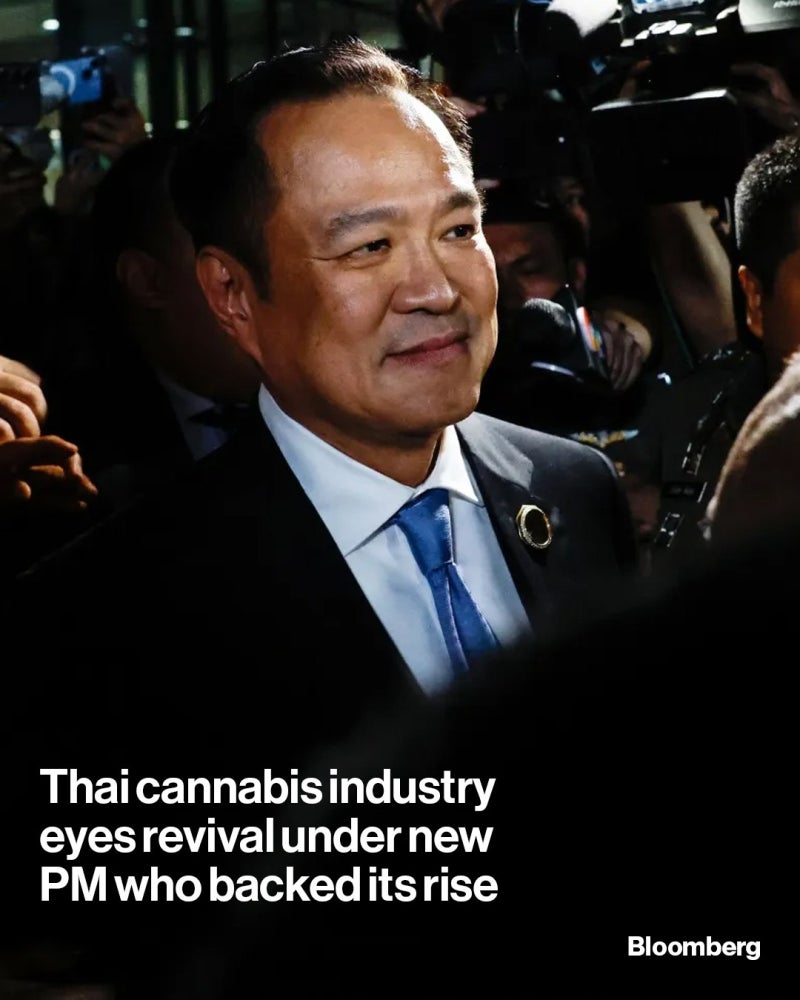 2025년 9월 8일 - 9일 미국주식정보(25.9.9 13시53분쯤업로드) : 네이버 블로그