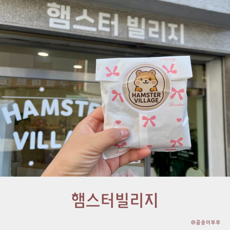  인천 햄스터 분양 인천 피그미다람쥐 분양 햄스터빌리지 매장 방문후기