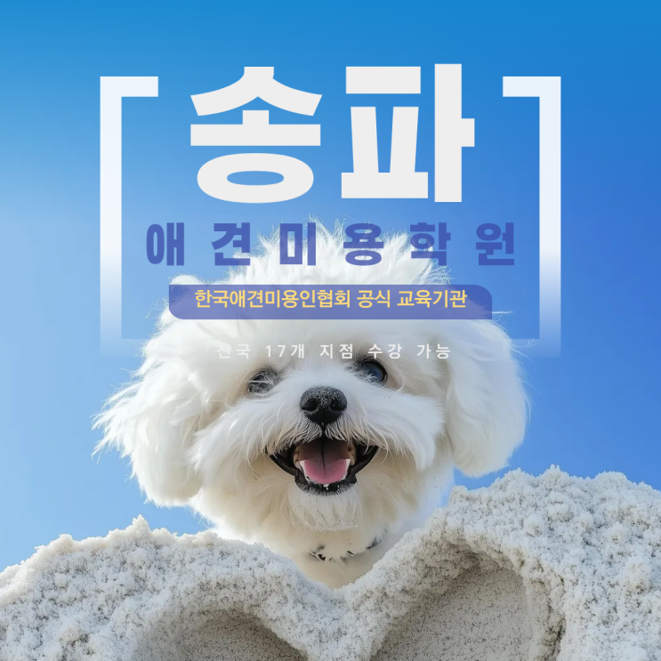  송파애견미용학원 , 미래를 준비하는 시작