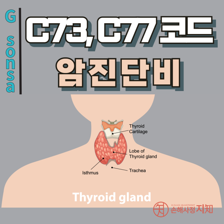  C73 C77 코드 갑상선암 림프 전이 보험금 받는 법 - [보험금, BA+DA]