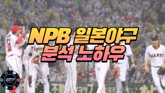  NPB 일본야구 분석 노하우