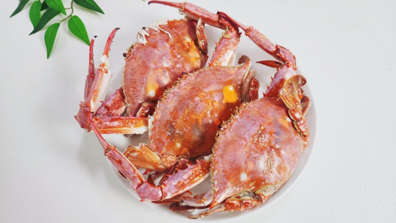 9월 제철해산물 냉동 꽃게찜 찌는법 냉동꽃게 손질법 꽃게찌는시간 꽃게요리