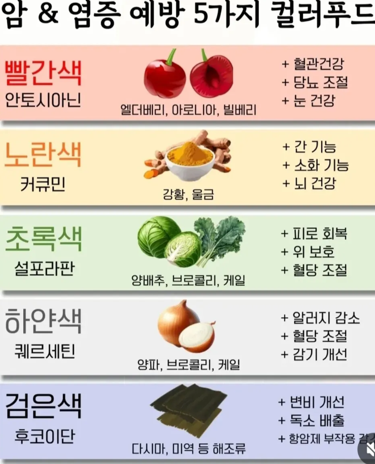 영양제 꿀조합 모음