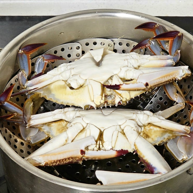  꽃게 생선 찜닭 단백질 그리고 숙주 가득 먹은 집밥 주간밥상