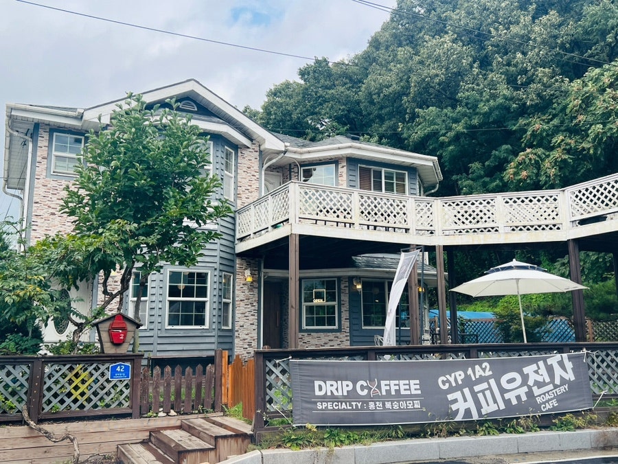 cafe CYP1A2 커피유전자 사진 1